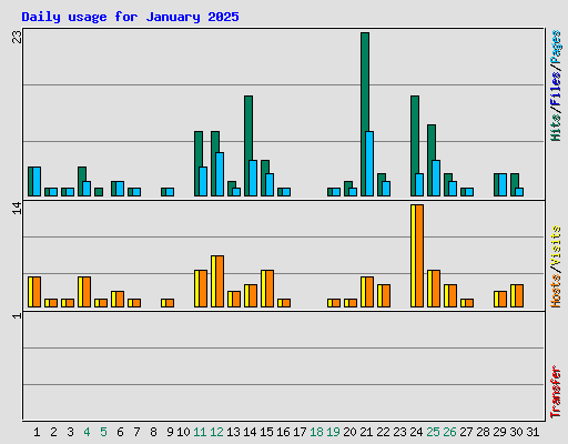 Daily usage for January 2025