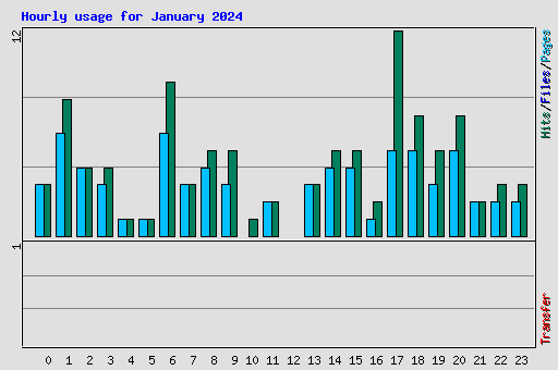 Hourly usage for January 2024