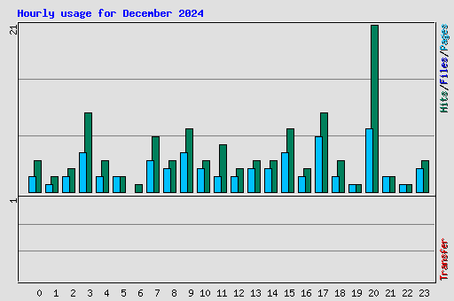 Hourly usage for December 2024
