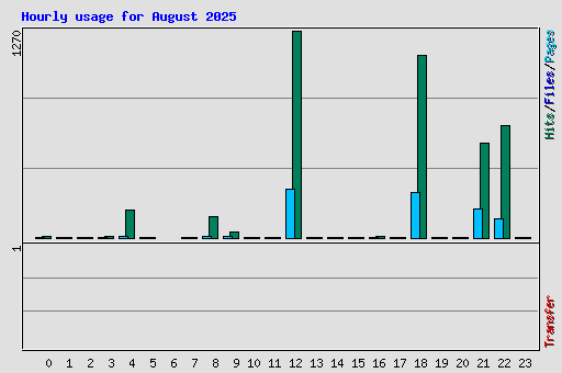 Hourly usage for August 2025